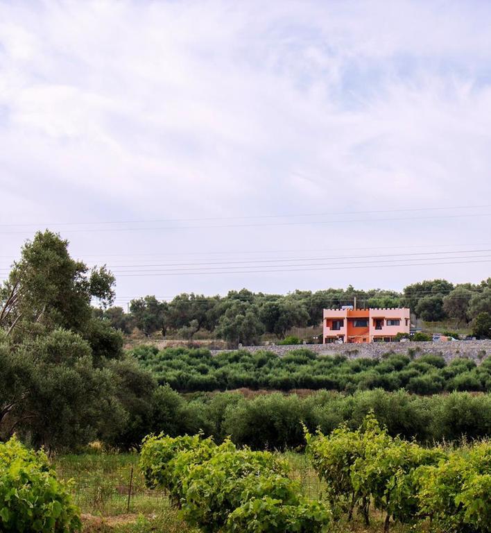 Kastro Studios Pigi  Luaran gambar