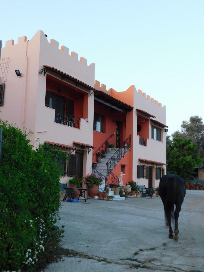 Kastro Studios Pigi  Luaran gambar